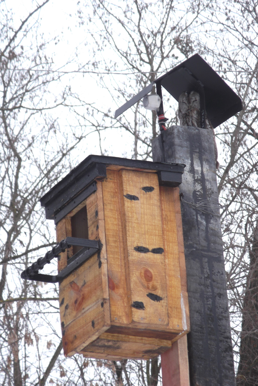 attachment.php?attachmentid=642190&stc=1&d=1543926910