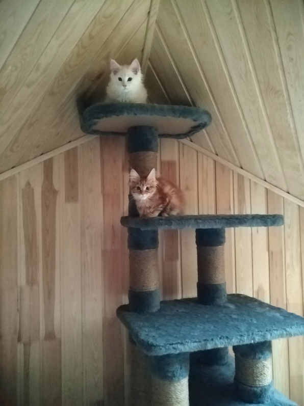 attachment.php?attachmentid=644327&d=1545818648