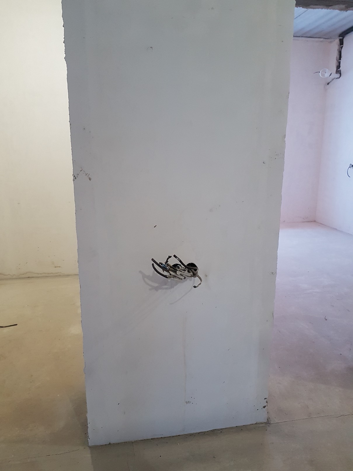 attachment.php?attachmentid=645831&stc=1&d=1547402257