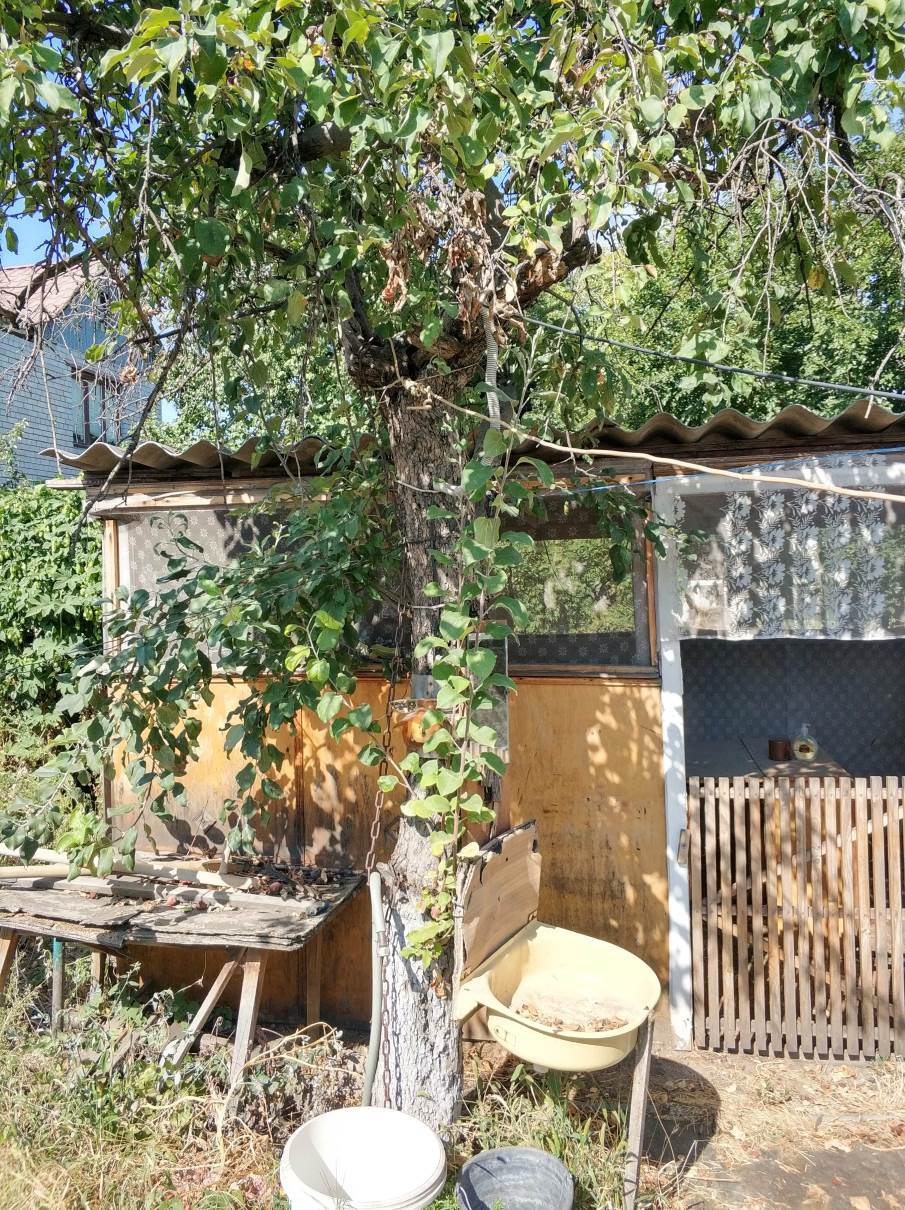 attachment.php?attachmentid=646893&stc=1&d=1548407333