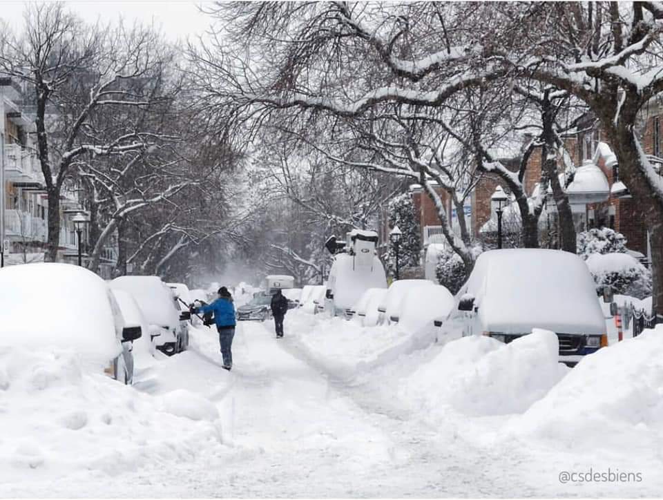 attachment.php?attachmentid=649332&stc=1&d=1550071402