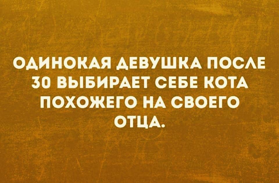 attachment.php?attachmentid=651516&stc=1&d=1551562041