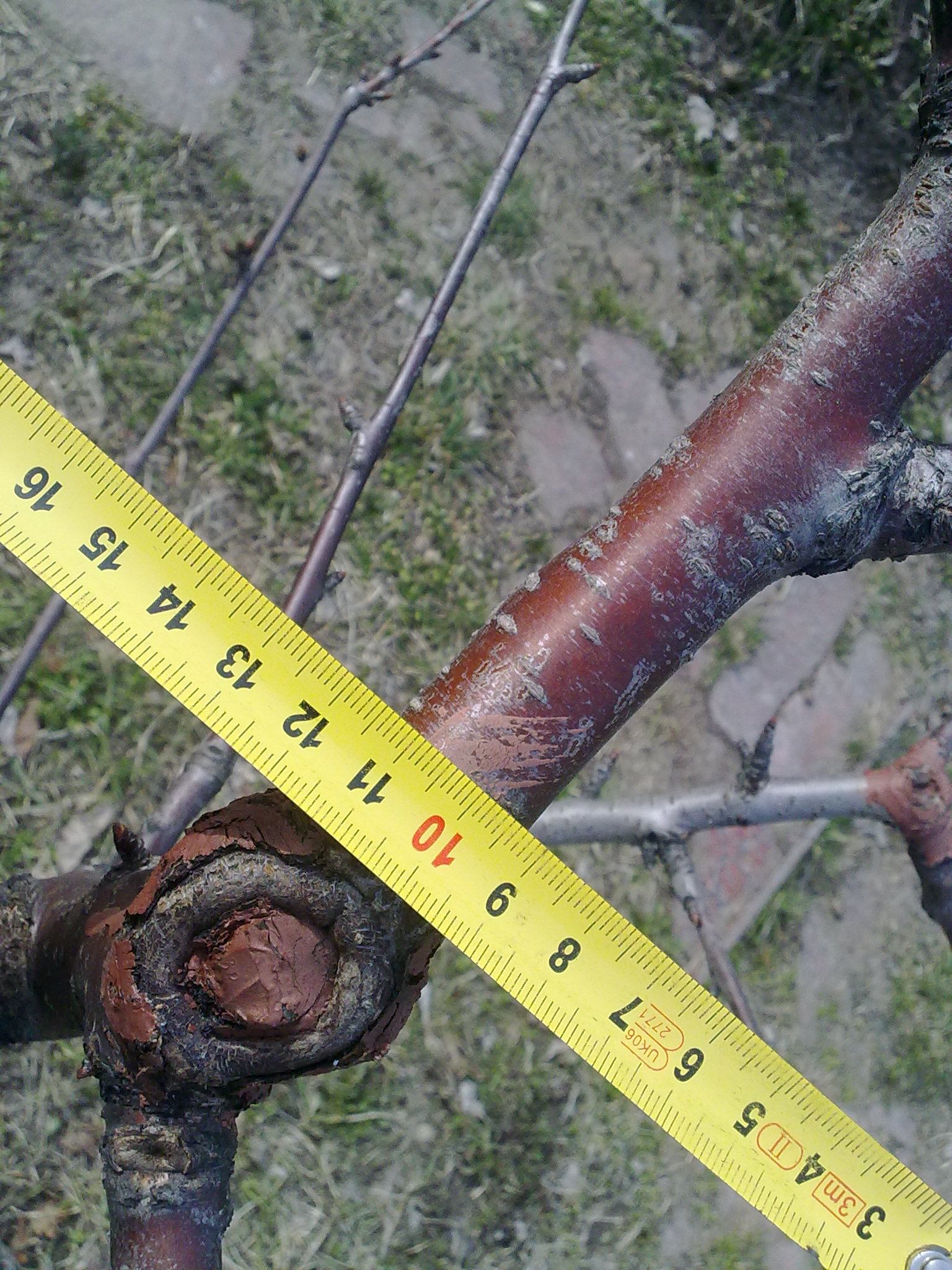 attachment.php?attachmentid=652375&stc=1&d=1552216940