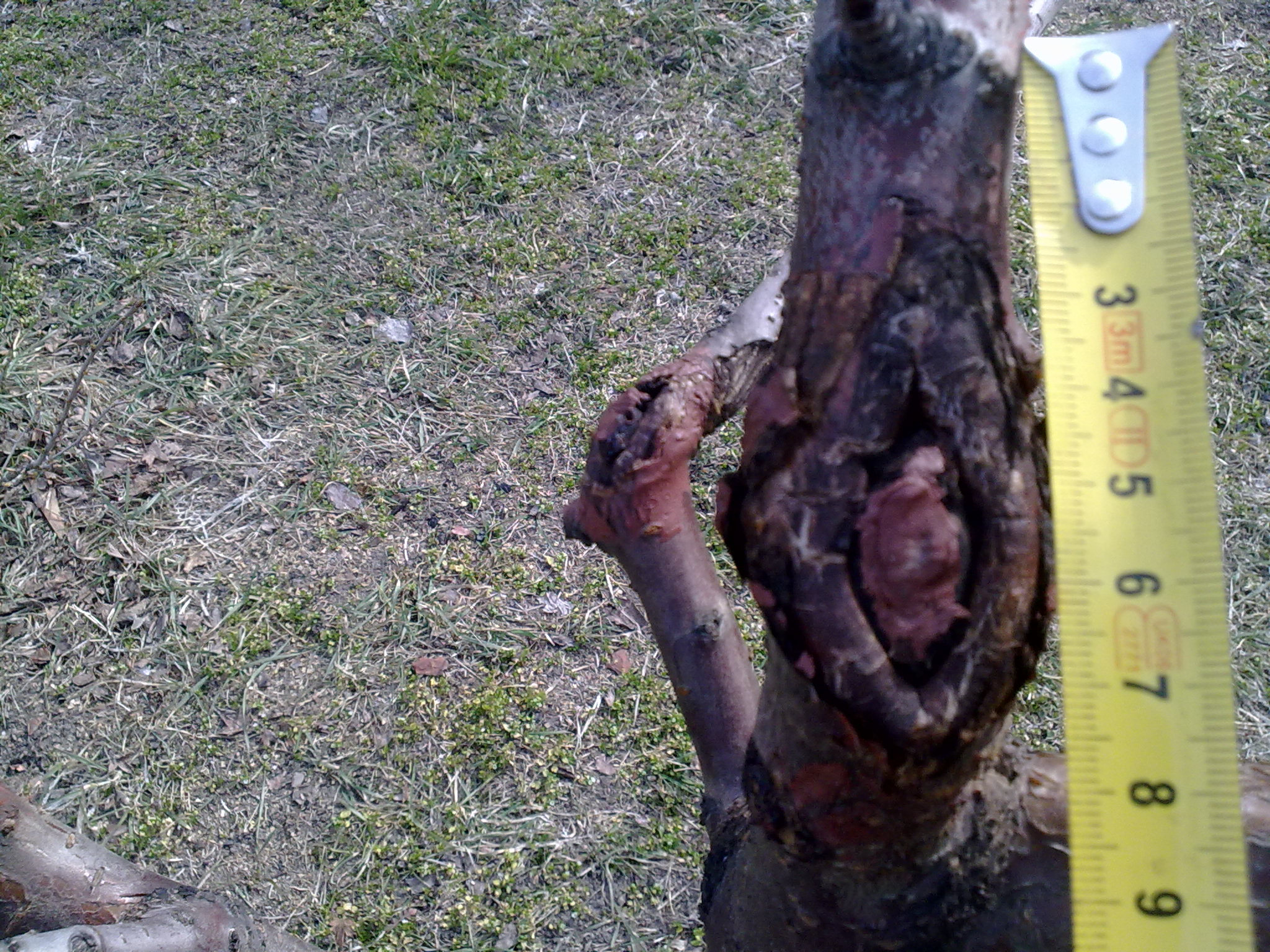 attachment.php?attachmentid=652376&stc=1&d=1552216979