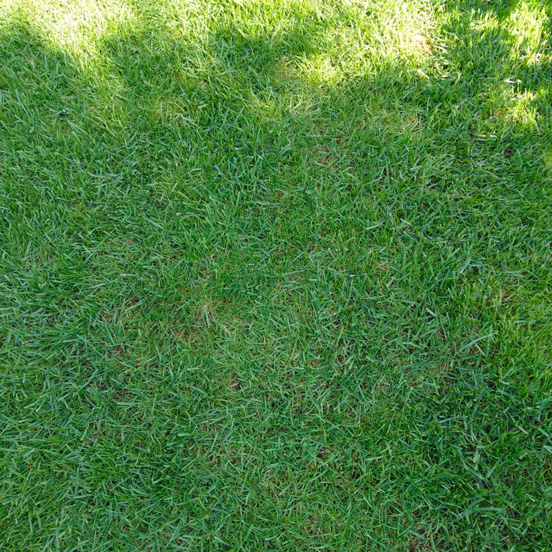 attachment.php?attachmentid=652384&stc=1&d=1552220263