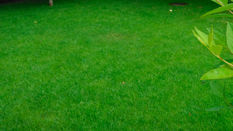 attachment.php?attachmentid=652385&stc=1&d=1552220454