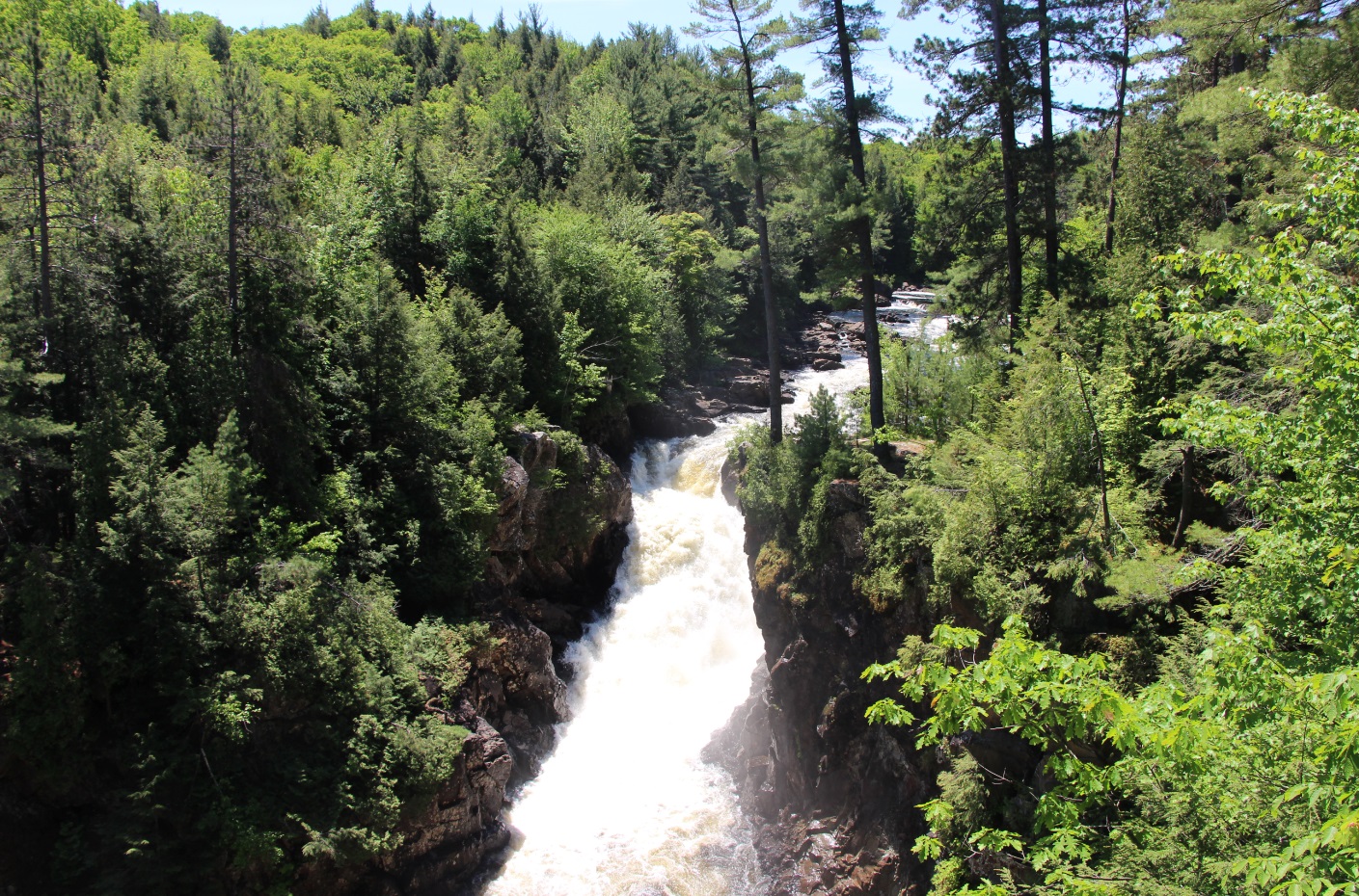 attachment.php?attachmentid=653187&stc=1&d=1552867991