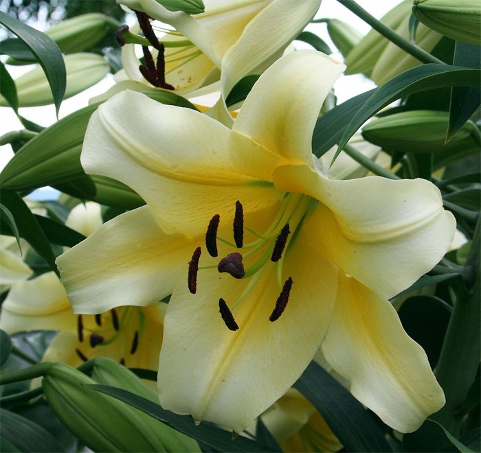 attachment.php?attachmentid=653450&stc=1&d=1553105091