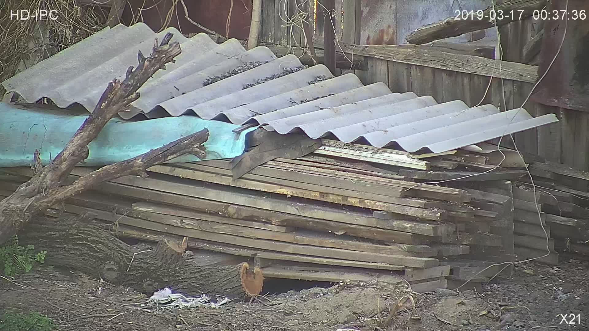 attachment.php?attachmentid=654591&stc=1&d=1554042829