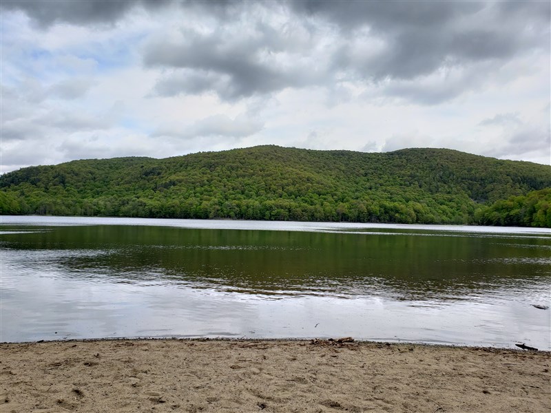 attachment.php?attachmentid=660483&stc=1&d=1559254203