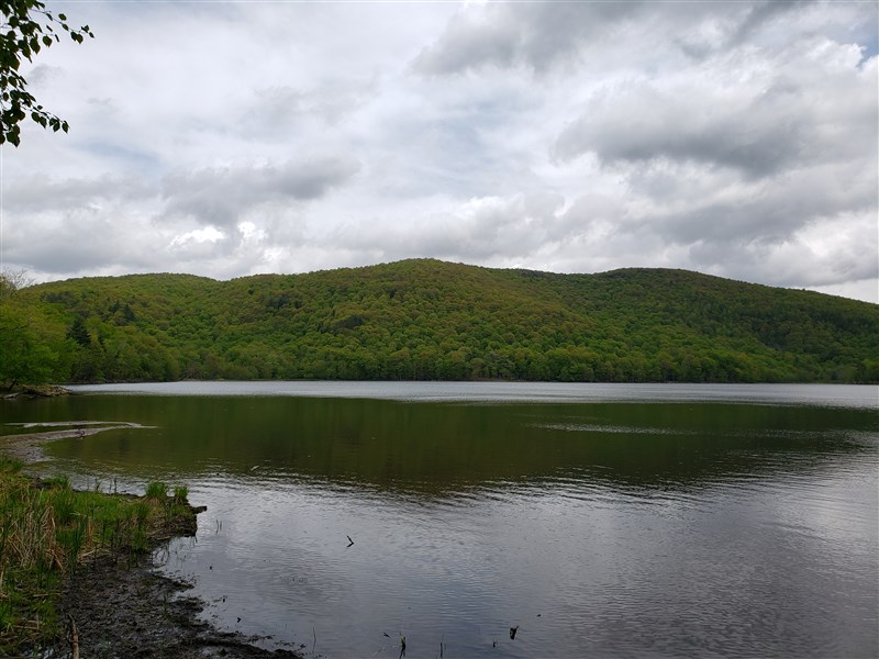 attachment.php?attachmentid=660484&stc=1&d=1559254216