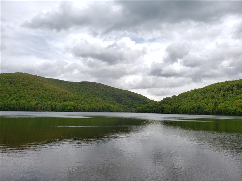 attachment.php?attachmentid=660485&stc=1&d=1559254219