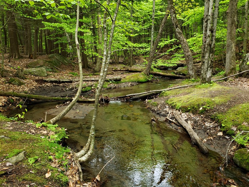 attachment.php?attachmentid=660486&stc=1&d=1559254222