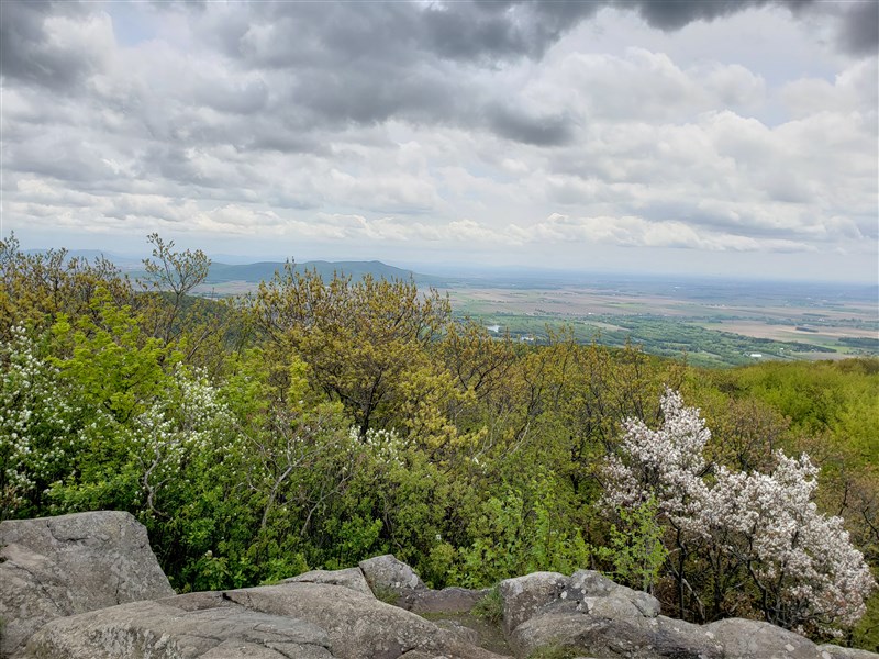 attachment.php?attachmentid=660488&stc=1&d=1559254230