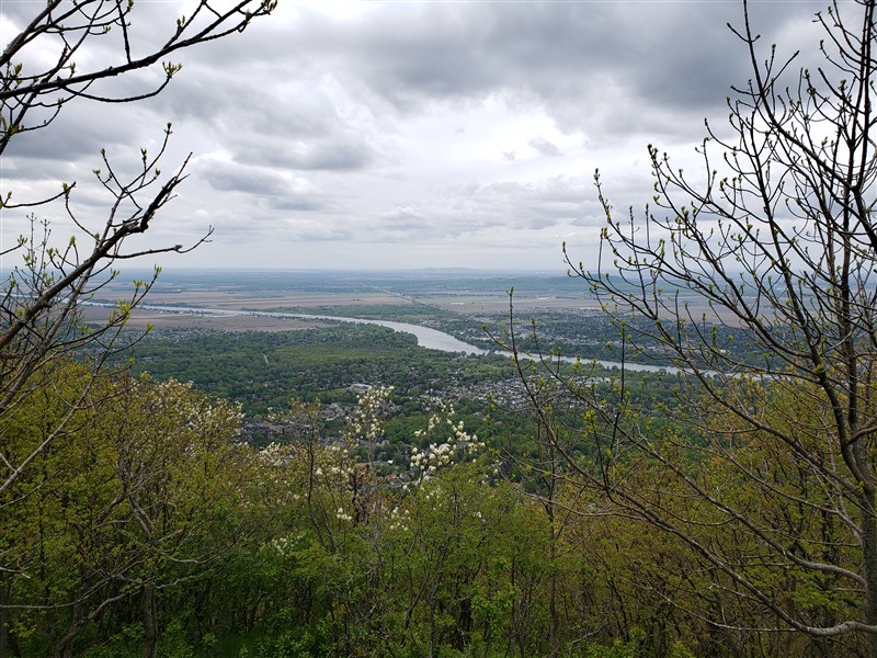 attachment.php?attachmentid=660491&stc=1&d=1559254243