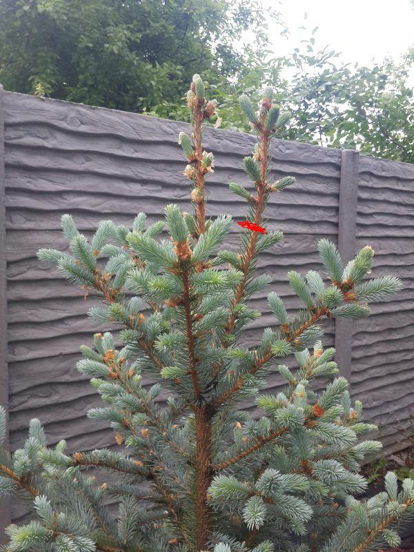 attachment.php?attachmentid=660673&d=1559457317