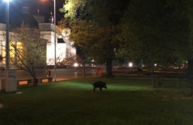 attachment.php?attachmentid=660867&stc=1&d=1559595339