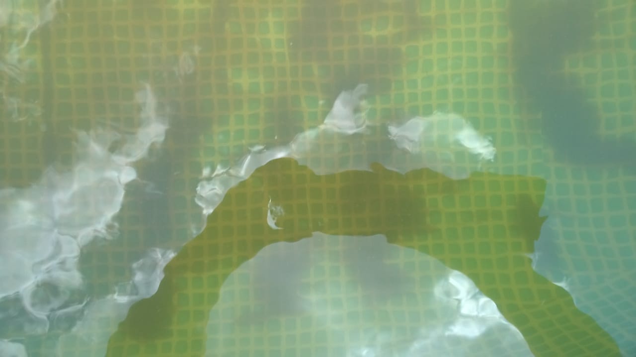 attachment.php?attachmentid=662380&stc=1&d=1560939865