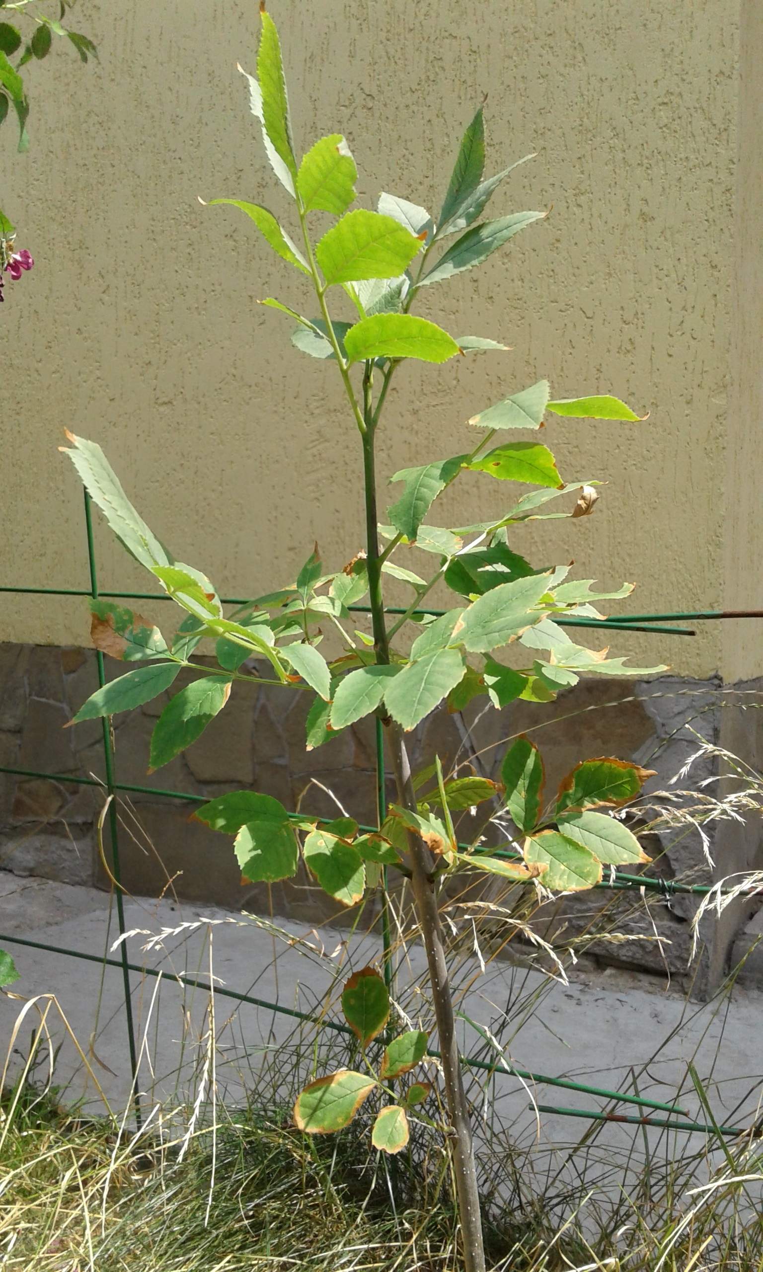 attachment.php?attachmentid=663466&d=1562073689