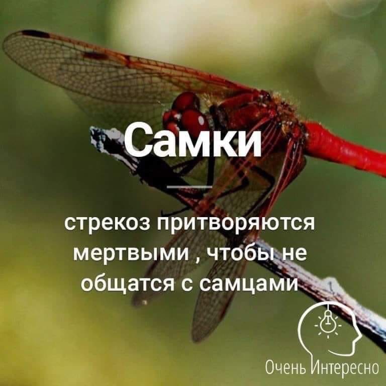 attachment.php?attachmentid=663937&stc=1&d=1562429615