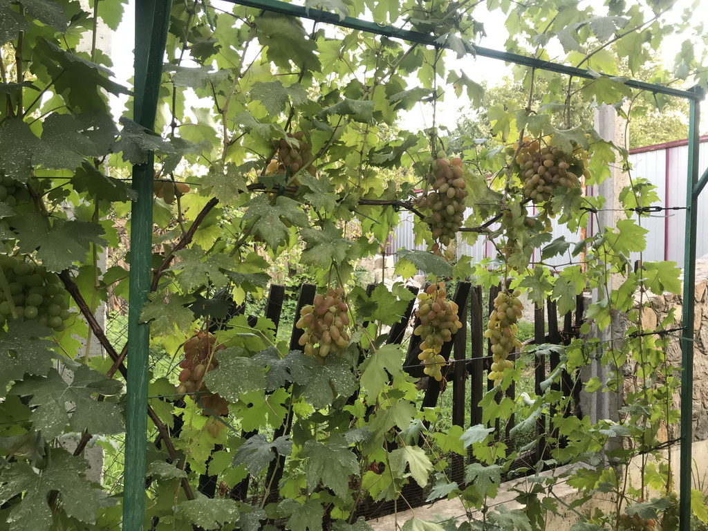 attachment.php?attachmentid=666753&stc=1&d=1564907948