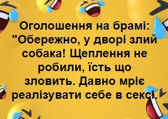 attachment.php?attachmentid=666786&stc=1&d=1564948392