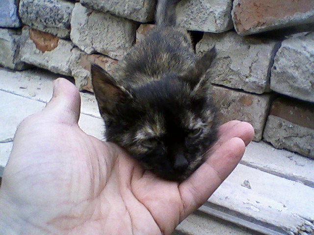 attachment.php?attachmentid=666894&stc=1&d=1565033355