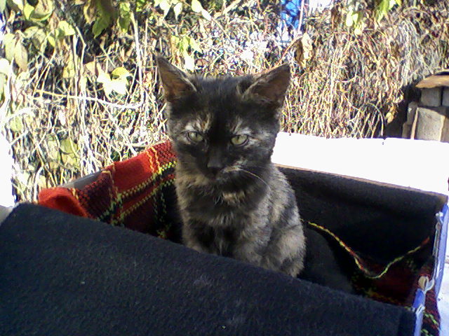 attachment.php?attachmentid=666895&stc=1&d=1565033466