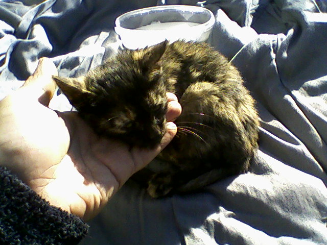 attachment.php?attachmentid=666896&stc=1&d=1565033609