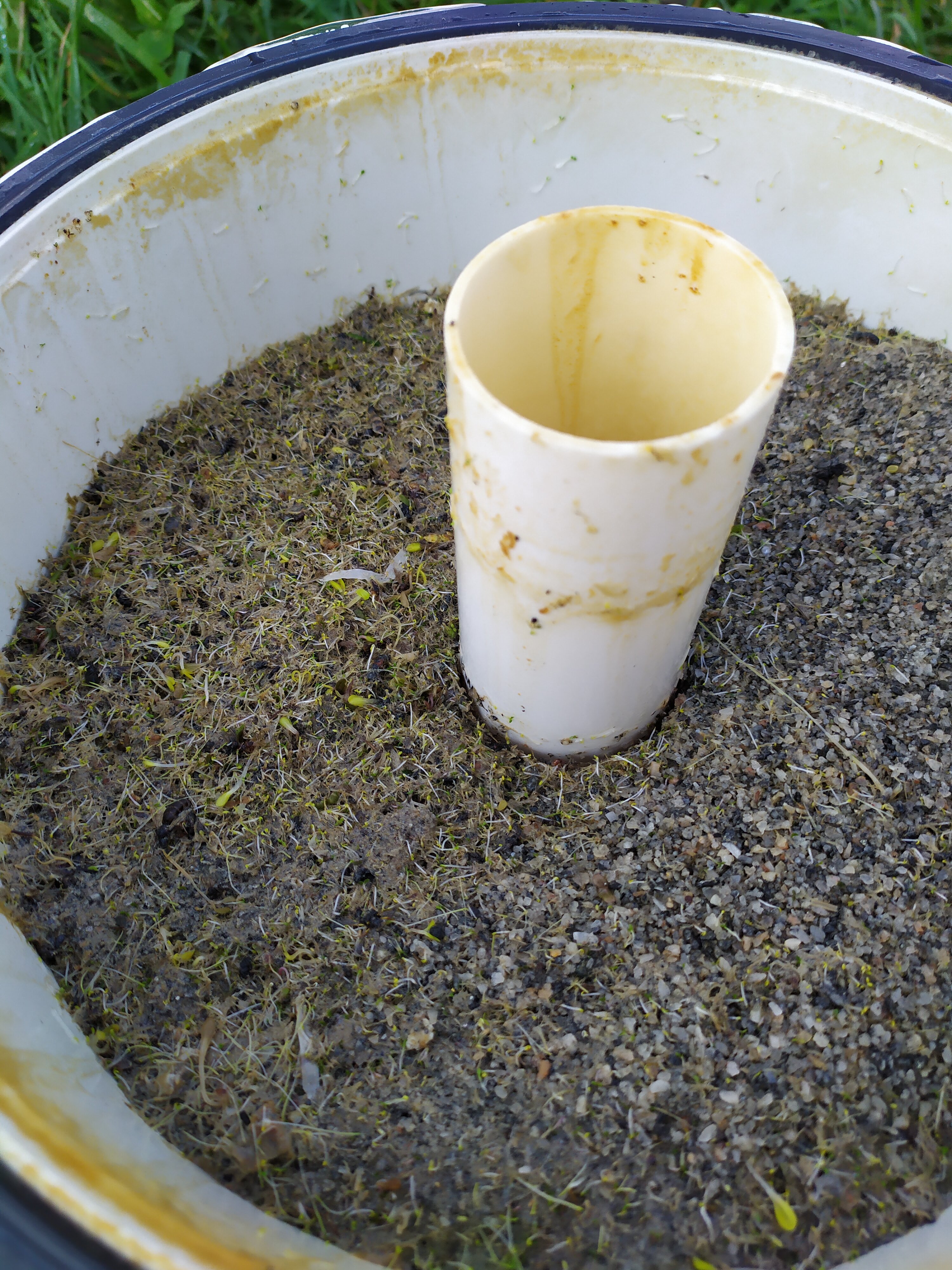 attachment.php?attachmentid=669670&stc=1&d=1567448654