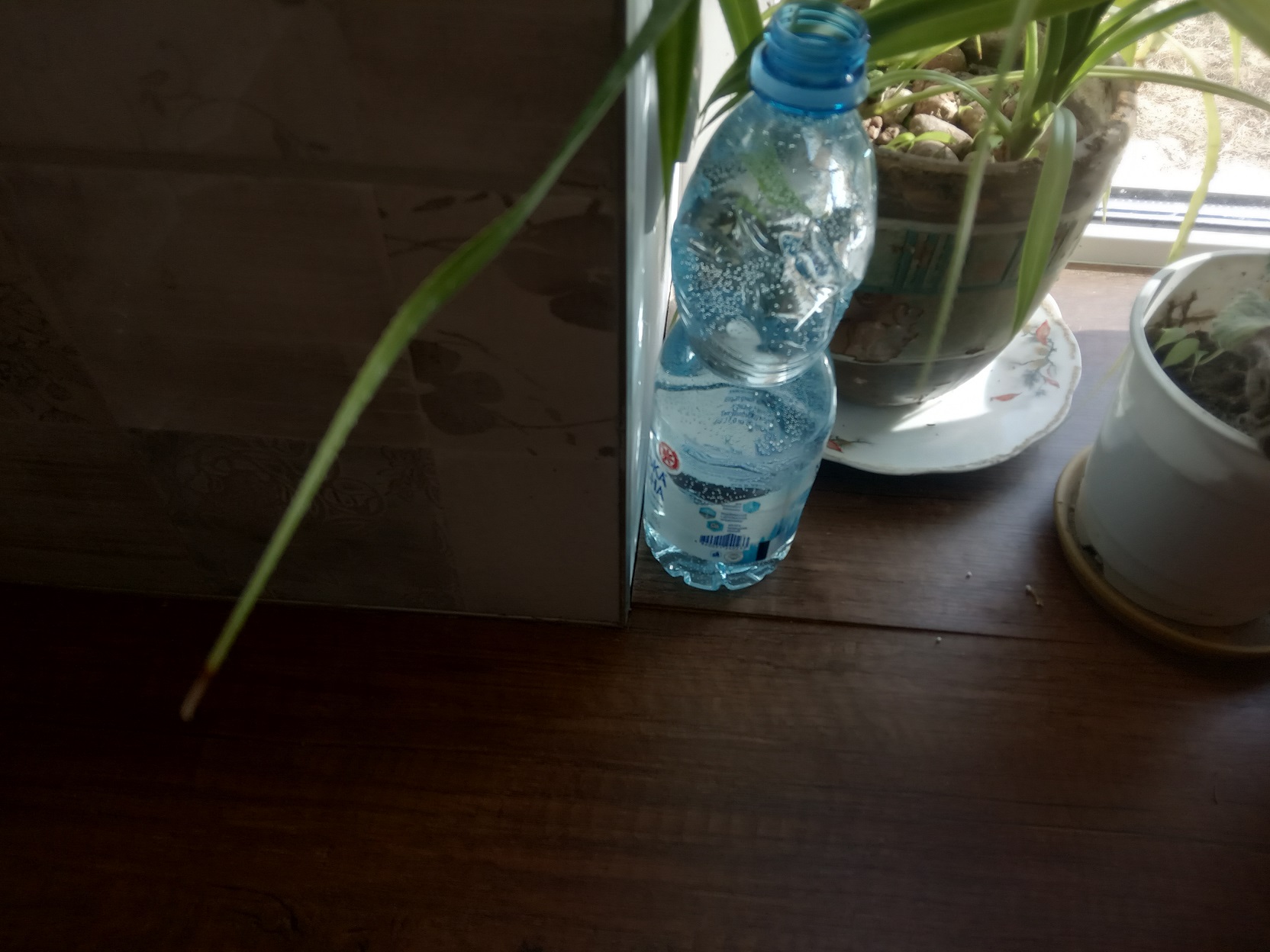 attachment.php?attachmentid=671624&stc=1&d=1569329315