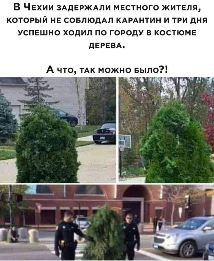 attachment.php?attachmentid=687780&d=158