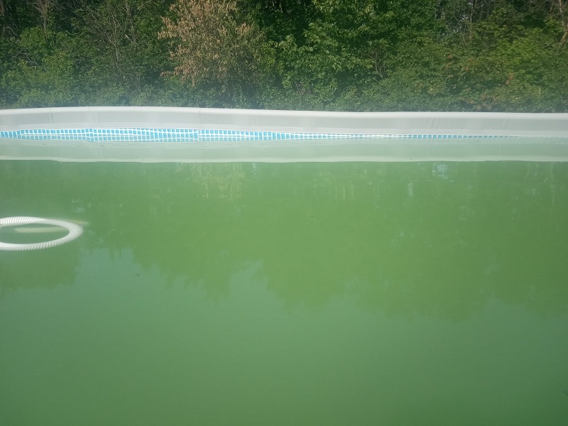 attachment.php?attachmentid=694002&stc=1&d=1592141464