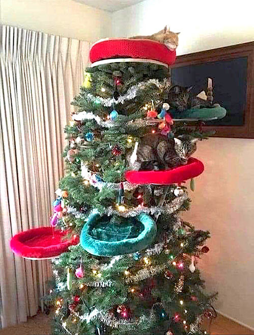 attachment.php?attachmentid=708036&d=1607798874