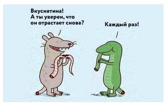 attachment.php?attachmentid=711207&d=1611691199