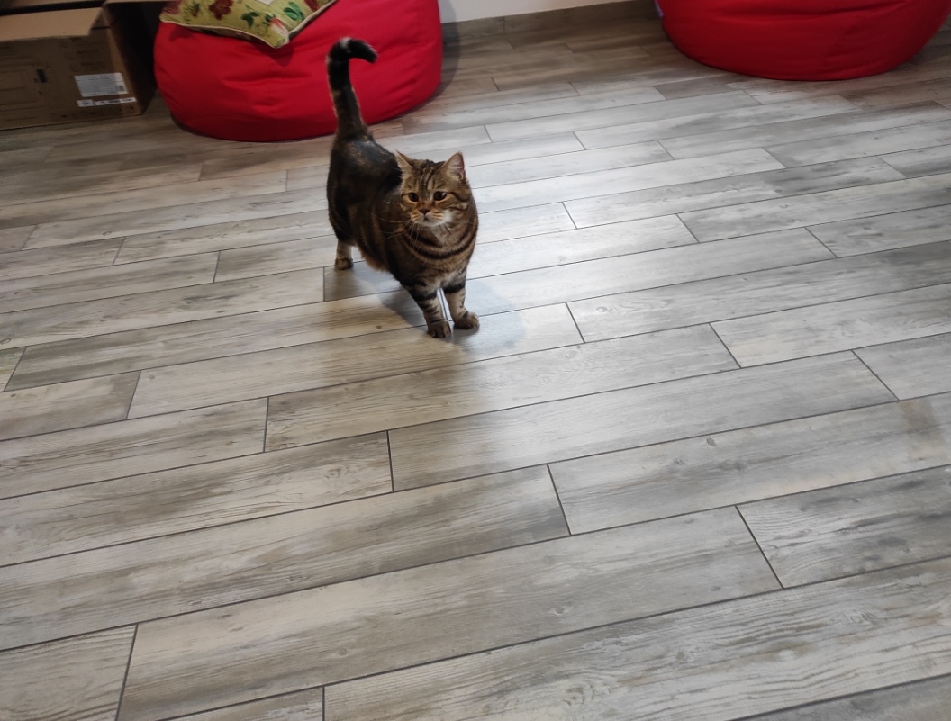 attachment.php?attachmentid=711552&stc=1&d=1612177287