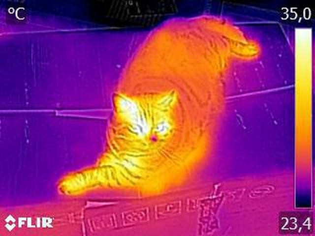 attachment.php?attachmentid=712782&stc=1&d=1613842720