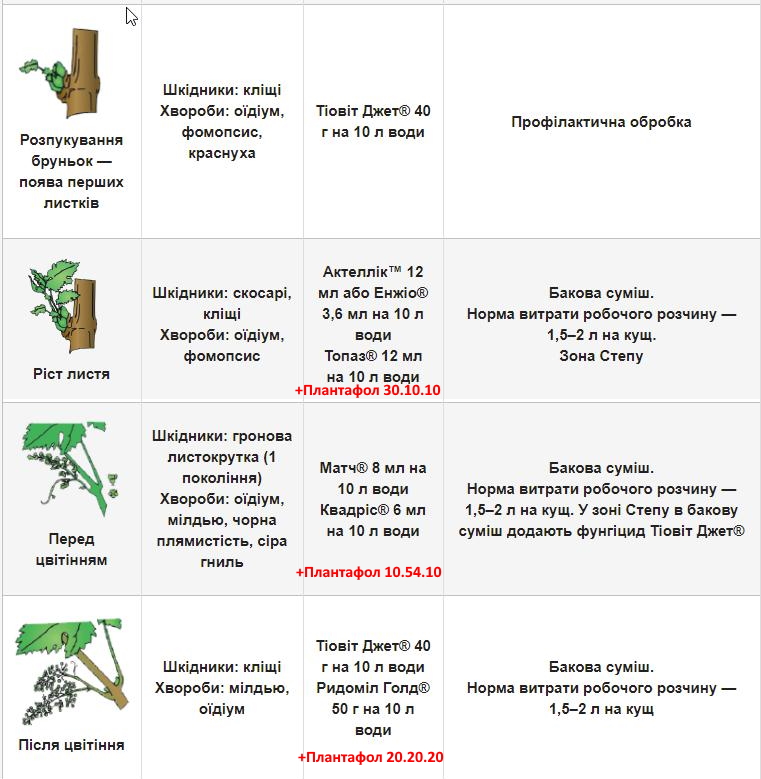 attachment.php?attachmentid=714551&stc=1&d=1615981164