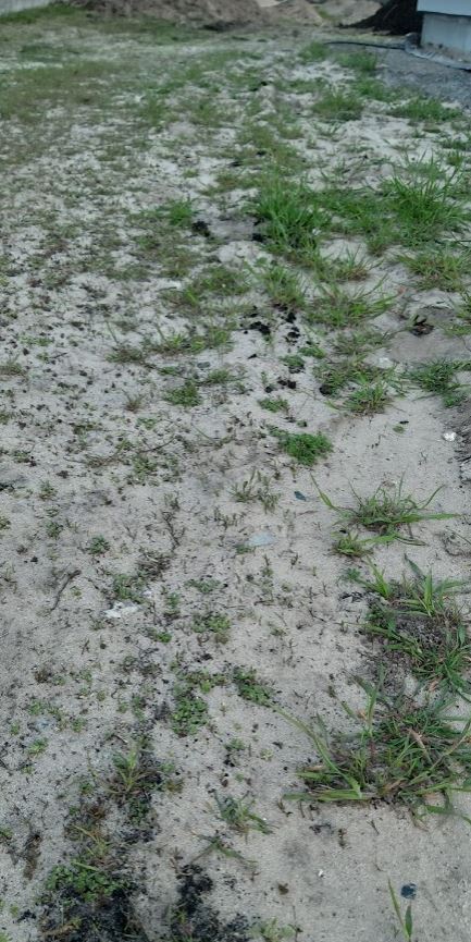 attachment.php?attachmentid=717966&stc=1&d=1619702942