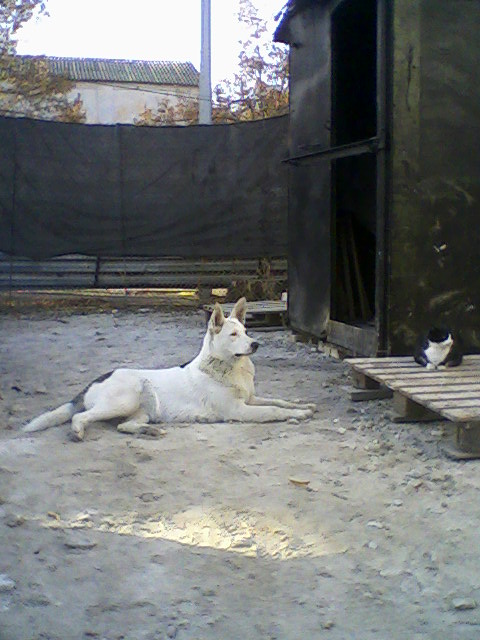 attachment.php?attachmentid=78377&d=1289923092