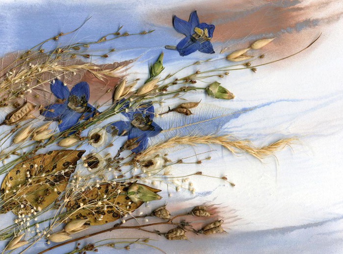 50111482_1256029519_Floristicheskiy_kollazh_iz_zasushennogo_rastitel_nogo_materialazlaki_cvetki_.jpg.459c9e8f92169351104c689959bdd5f7.jpg