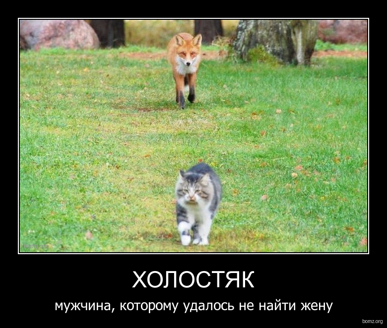 594008-2011_04.06-07_59.28-bomz.org-demotivator_holostyak_mujchina_kotopomu_udalos_ne_nayiti_jen.jpg.267a5b86010c492042fee4fd4b22a635.jpg
