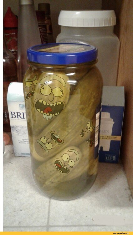 15661066_Rick-and-Morty----4054181.thumb.jpeg.2251d330edc9b709832d5687ce7ff193.jpeg