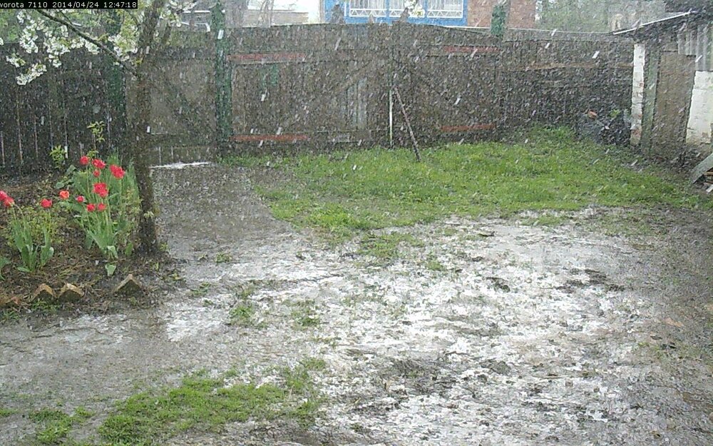 24-04-2014-dozhd.thumb.jpeg.21003f27a0e1950b92d467aecf5d7ff7.jpeg