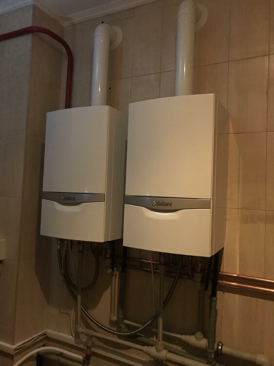 364362936_Vaillant-7.thumb.jpg.2ef2be80ecc3efb4ad5e158ed504767d.jpg