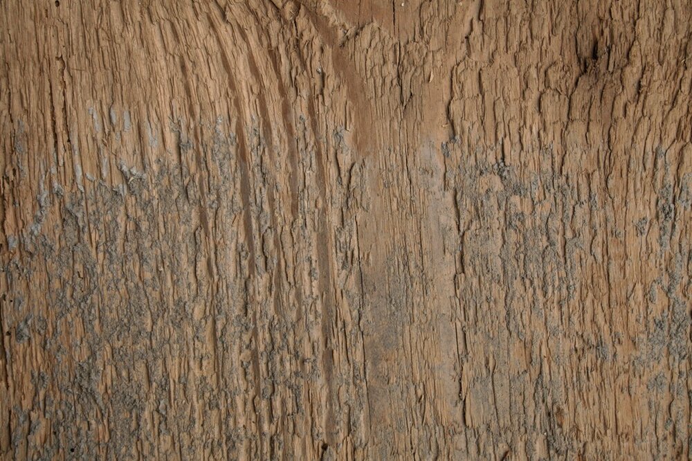 4_wood_texture_big_0227.thumb.jpg.5595414b41bd9bf9e4f3a2f1ca740244.jpg