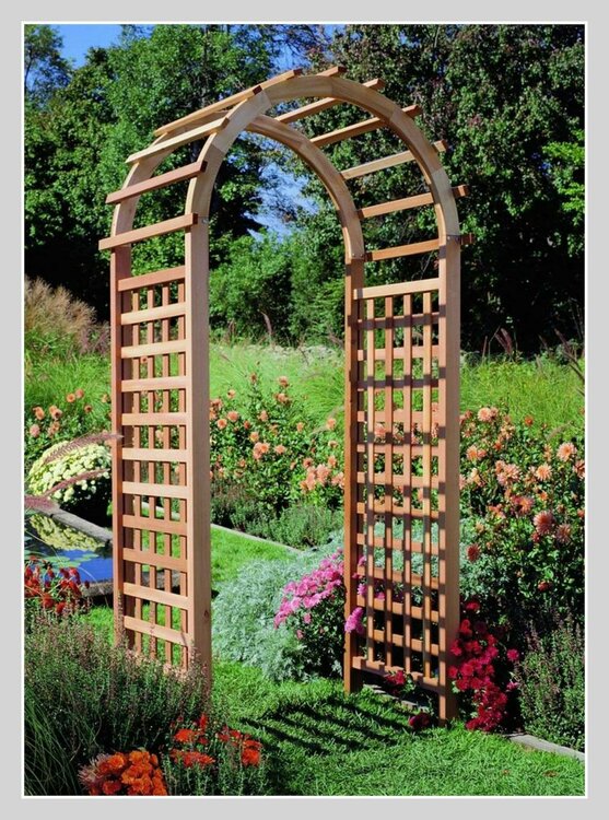 600_rustic_furniture_standard_garden_arbor.thumb.jpg.681f15909654d288699302e32324e646.jpg
