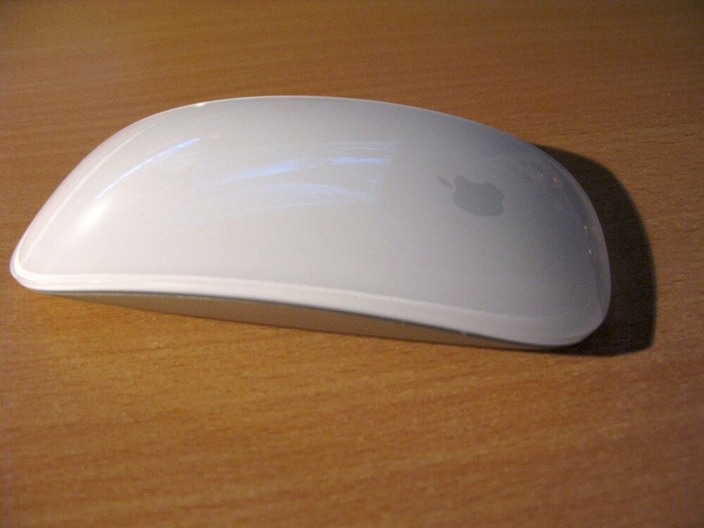 Apple_magic_mouse.thumb.jpg.cf005962bec8ce398c0275c80618ff9f.jpg