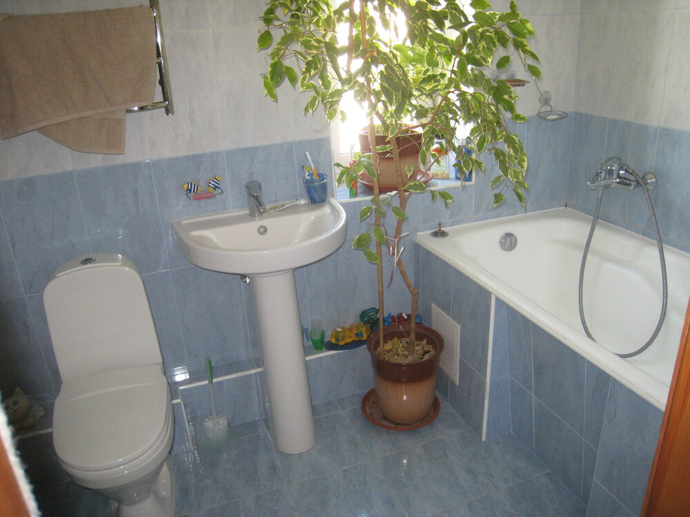 Bathroom1_1.thumb.jpg.70f75307da3c0a38df92a949ba42743b.jpg
