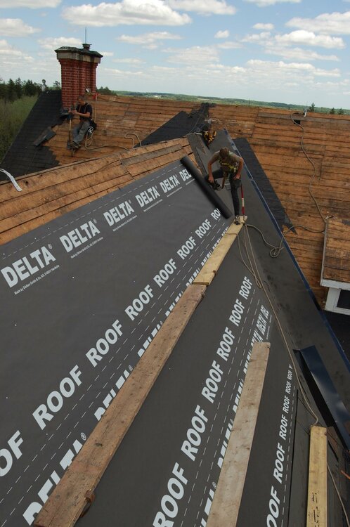 DELTA-ROOF1_large.thumb.jpg.65276ac46c2eb899e8746e3a35435a2f.jpg